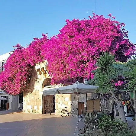 Popi Kos-Stadt