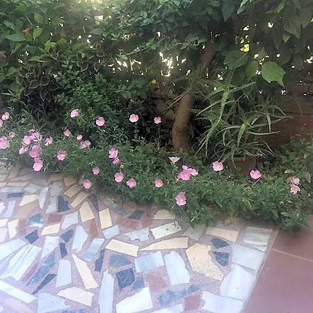 Popi Hotel Kos-Stadt