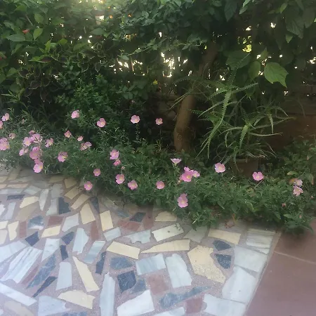 Popi * 코스 타운