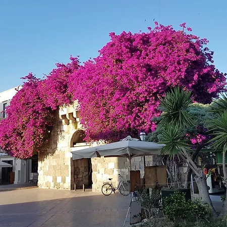 Hotel Popi Kos-stad